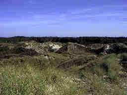 Henne Strand / Daenemark Richtung Wald