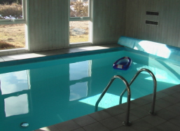 Poolraum mit 18 m grossen Swimmingpool und Whirlpool, Grossen Sauna und Sitzecke