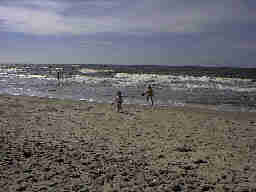 Strandleben Henne Strand / Daenemark. Hier hat jeder Spass und Platz genug