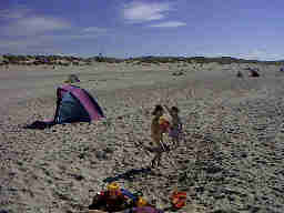 Strandleben Henne Strand / Daenemark. Hier hat jeder Spass und Platz genug