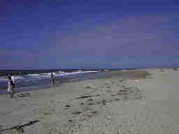 Strandleben Henne Strand / Daenemark. Hier hat jeder Spass und Platz genug