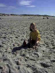 Strandleben Henne Strand / Daenemark. Hier hat jeder Spass und Platz genug