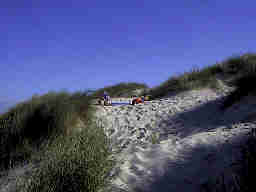 Dnenlandschaft Henne Strand / Daenemark